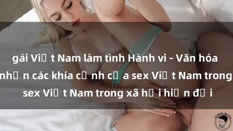 gái Việt Nam làm tình Hành vi - Văn hóa - Giới tính: Nhìn nhận các khía cạnh của sex Việt Nam trong xã hội hiện đại